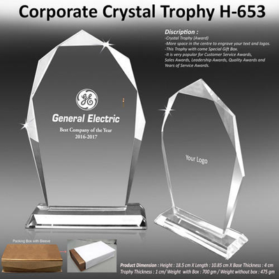Corporate Crystal Trophy H-653