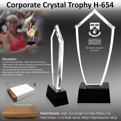 Corporate Crystal Trophy H-654
