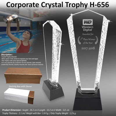 Corporate Crystal Trophy H-655