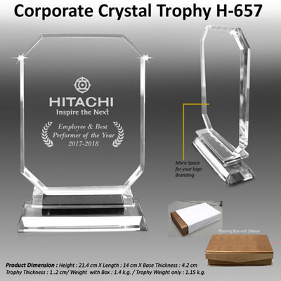 Corporate Crystal Trophy H-657