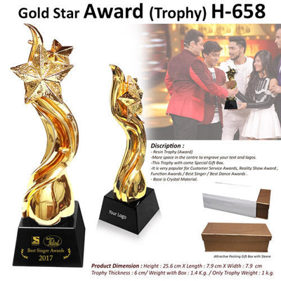 Gold Star Award (Trophy) H-658